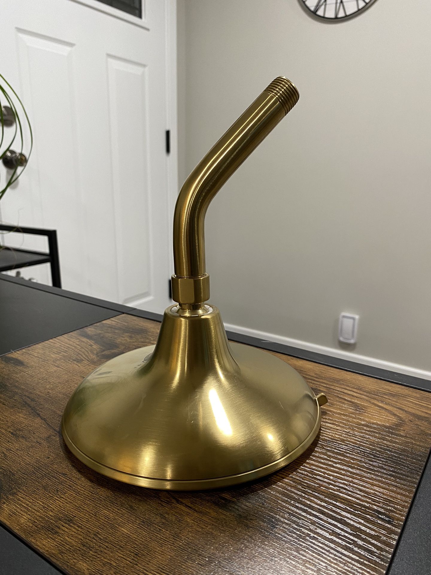 Kohler Gold Shower Head