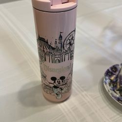 Disneyland glitter Pink