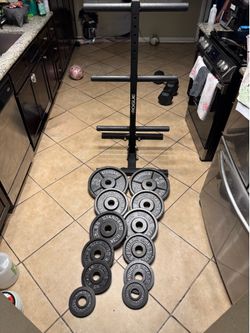 ROGUE VERTICAL PLATE TREE  With metal rogue plates 205lbs total