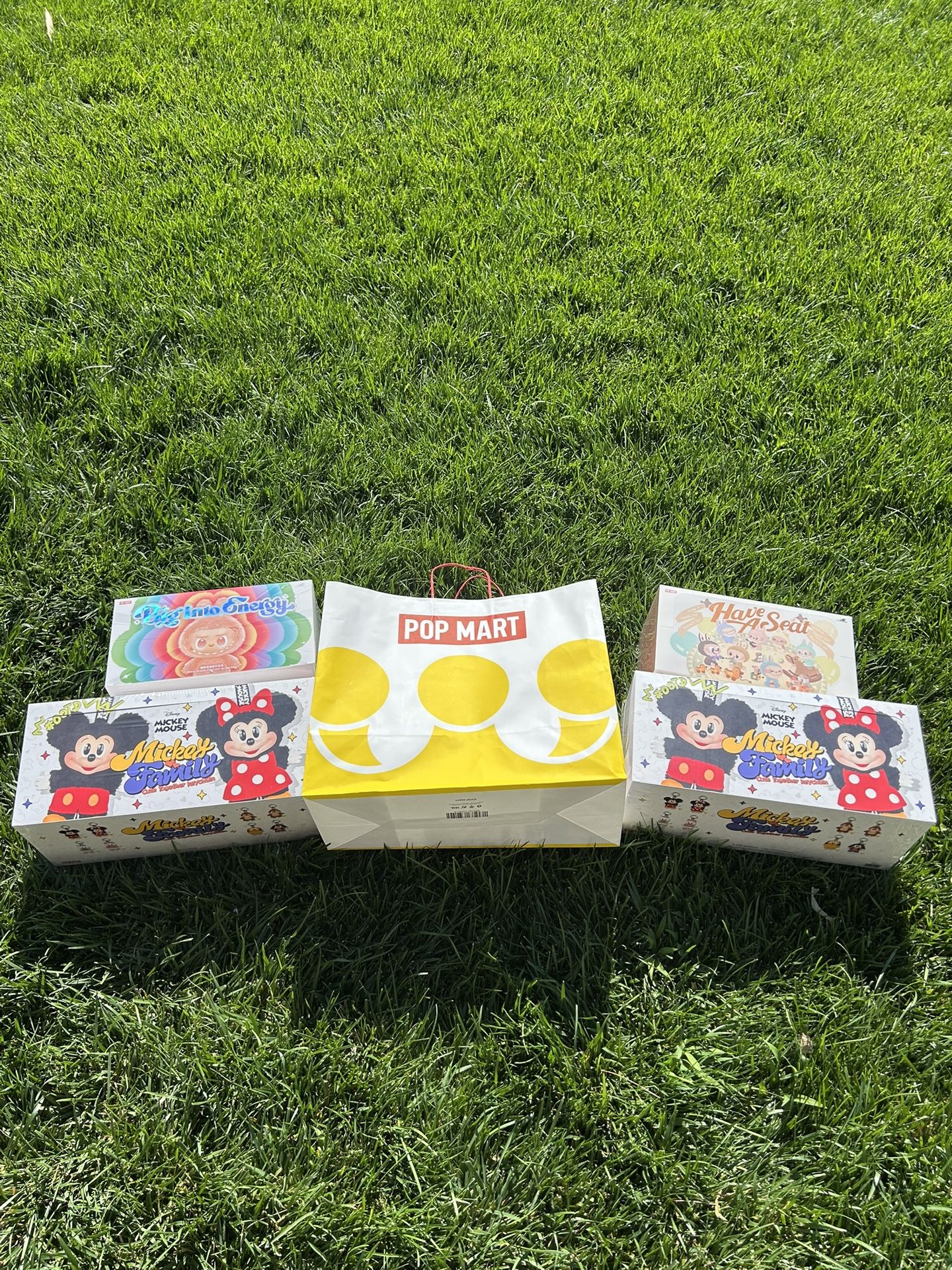 Pop Mart Labubu
