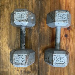 35lb Dumbbells