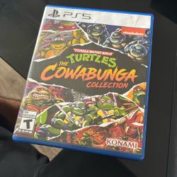 Ps5 Game TMNT The Cowabunga Collection 