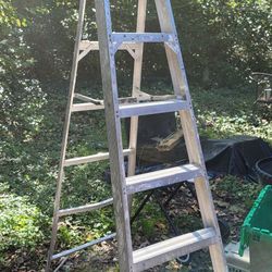 Aluminum Laddet 6ft