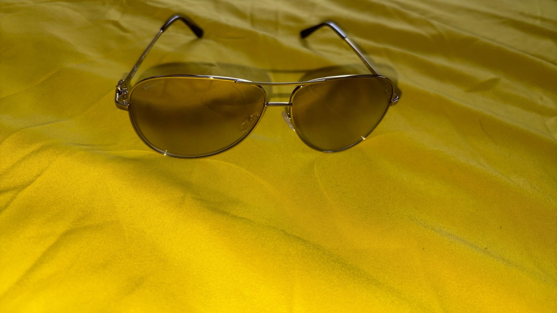 Ferragamo Sunglasses