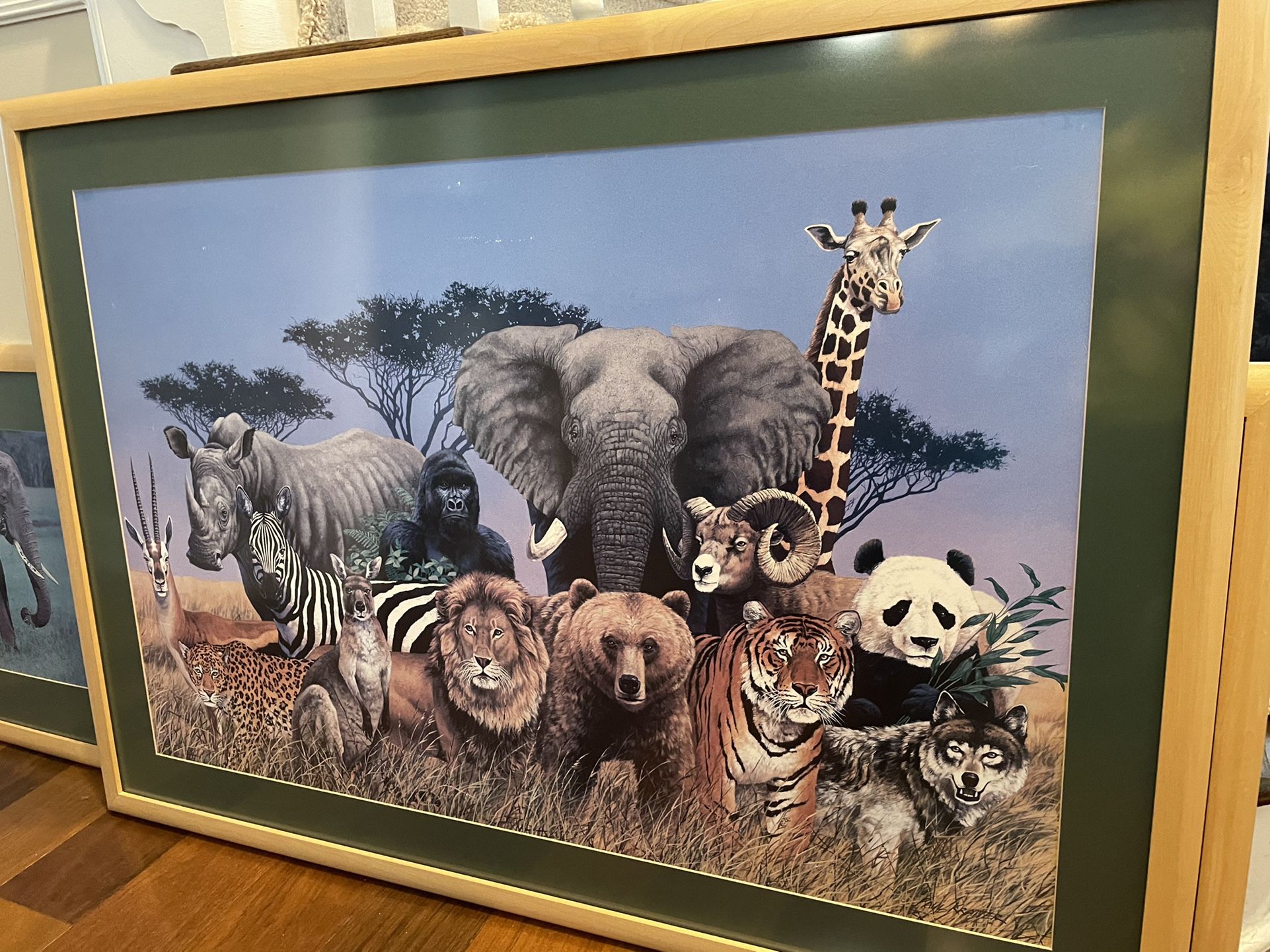 Framed Safari Animal Prints