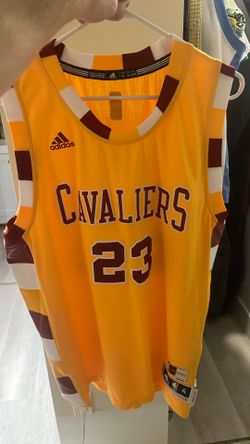 Cleveland Cavaliers LeBron James