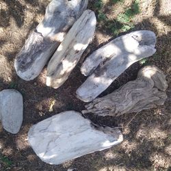 6 Natural Driftwood Pieces For Terrariums Aquariums Decor 