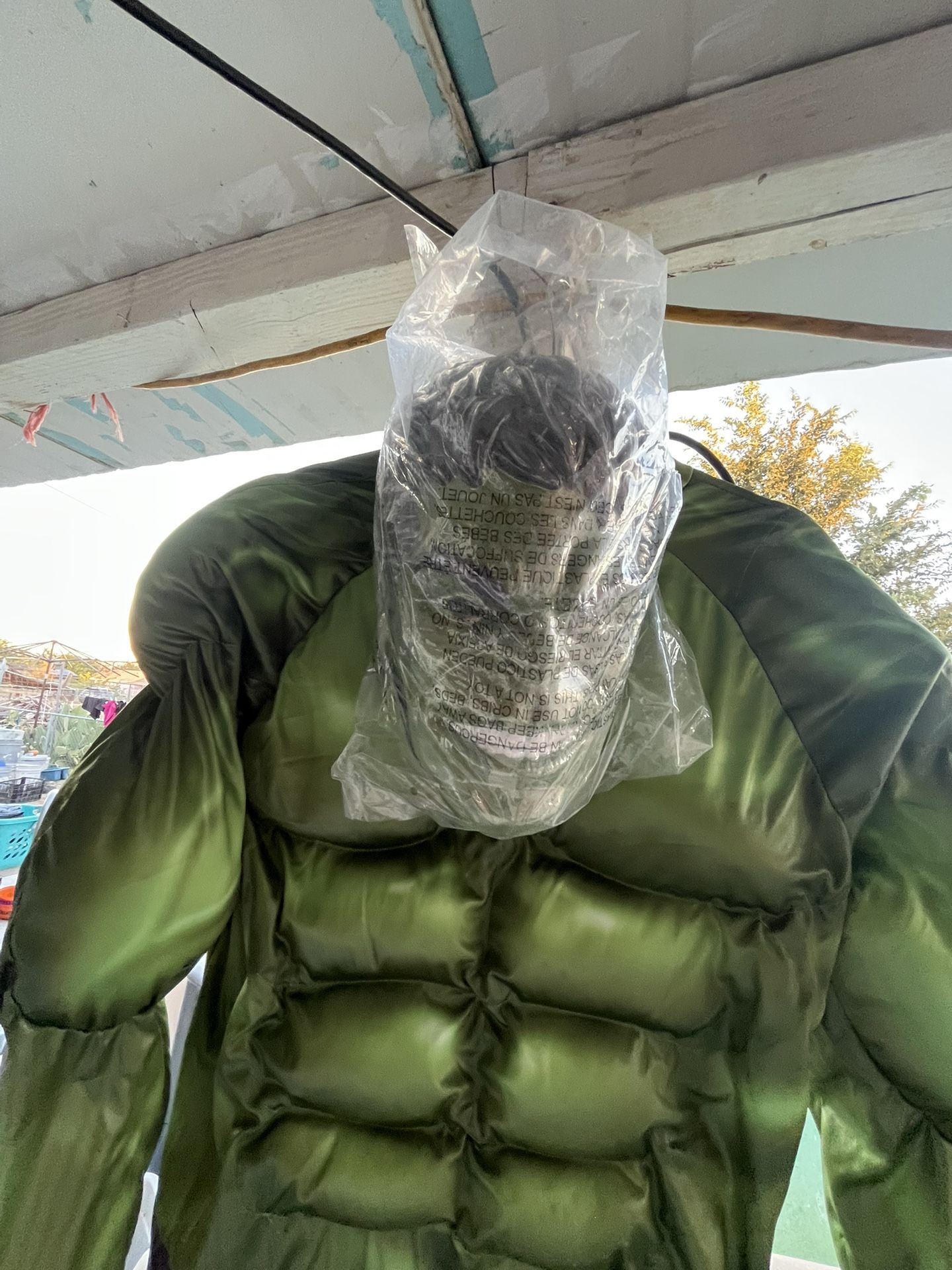 Hulk Halloween costume..!!!