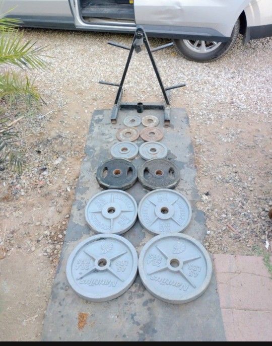 245lbs Olympic Weights+ Weight Tre