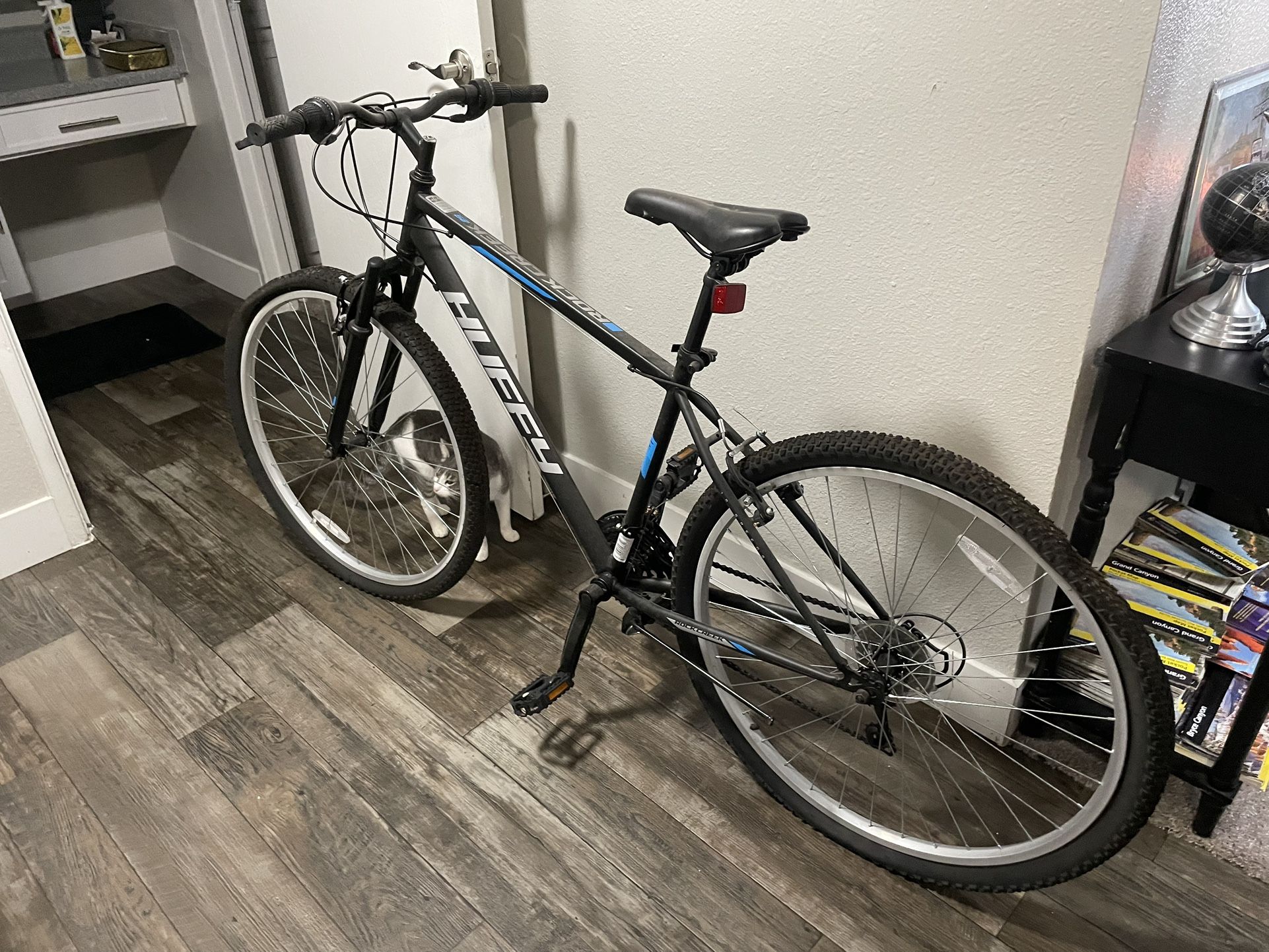 Men's bike Huffy Flat Tires