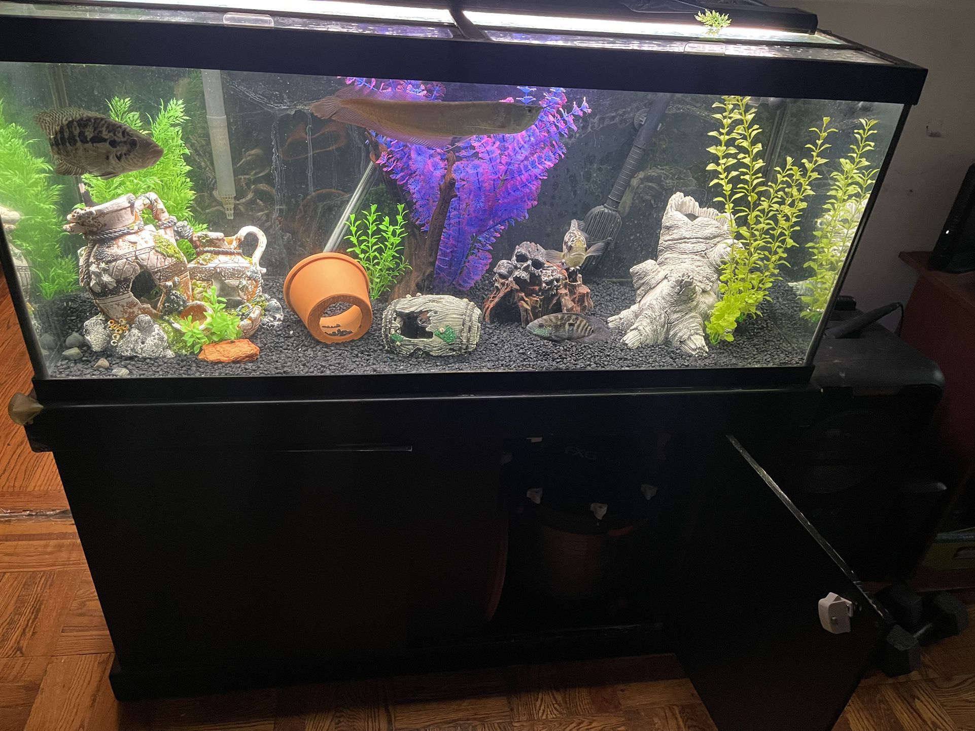 75 Gallon Fish Tank With Stand,glass Top, Heater And Fx6 Filter 