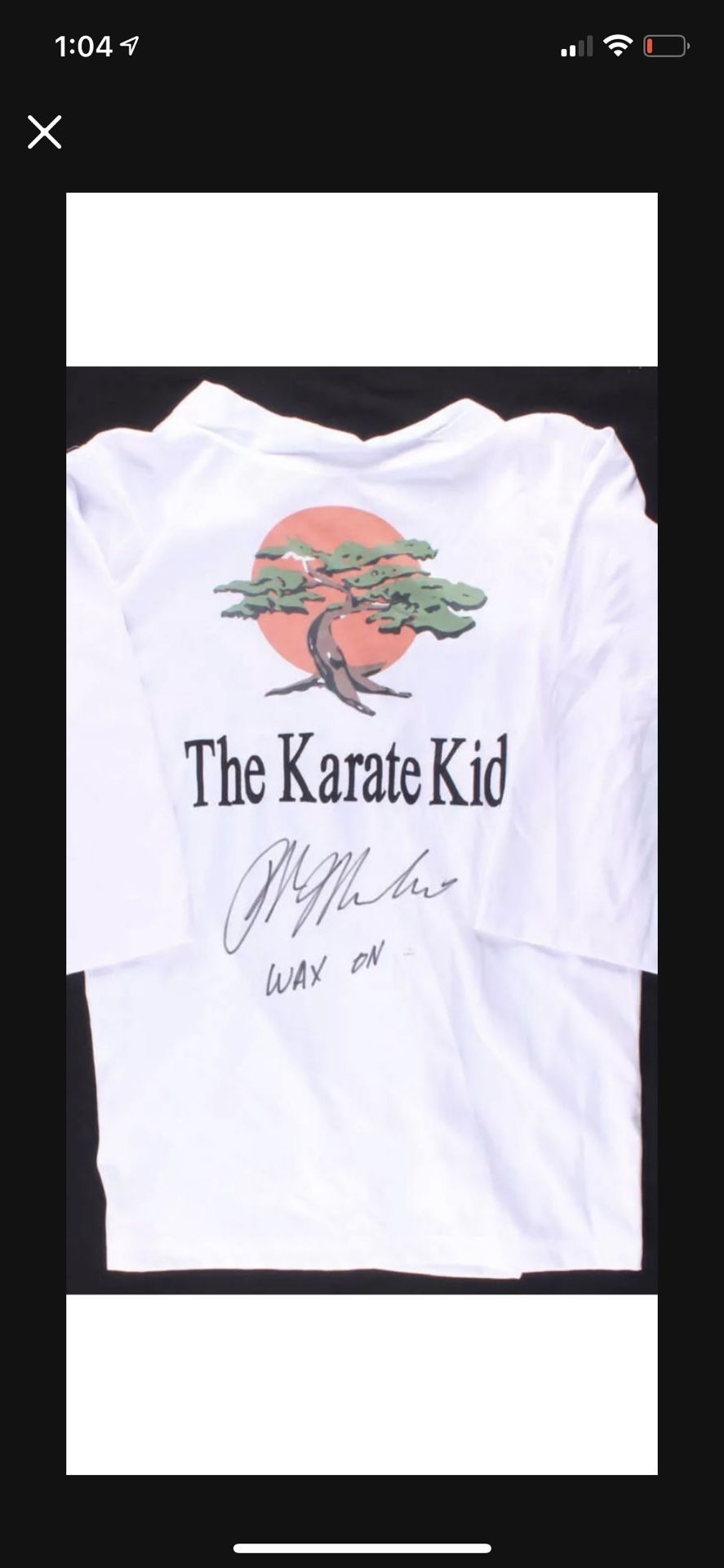 Cobra Kai/ Karate Kid The karate kid cobra Kai wax on Ralph