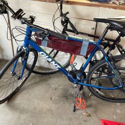 Giant Bike XL Frame. 