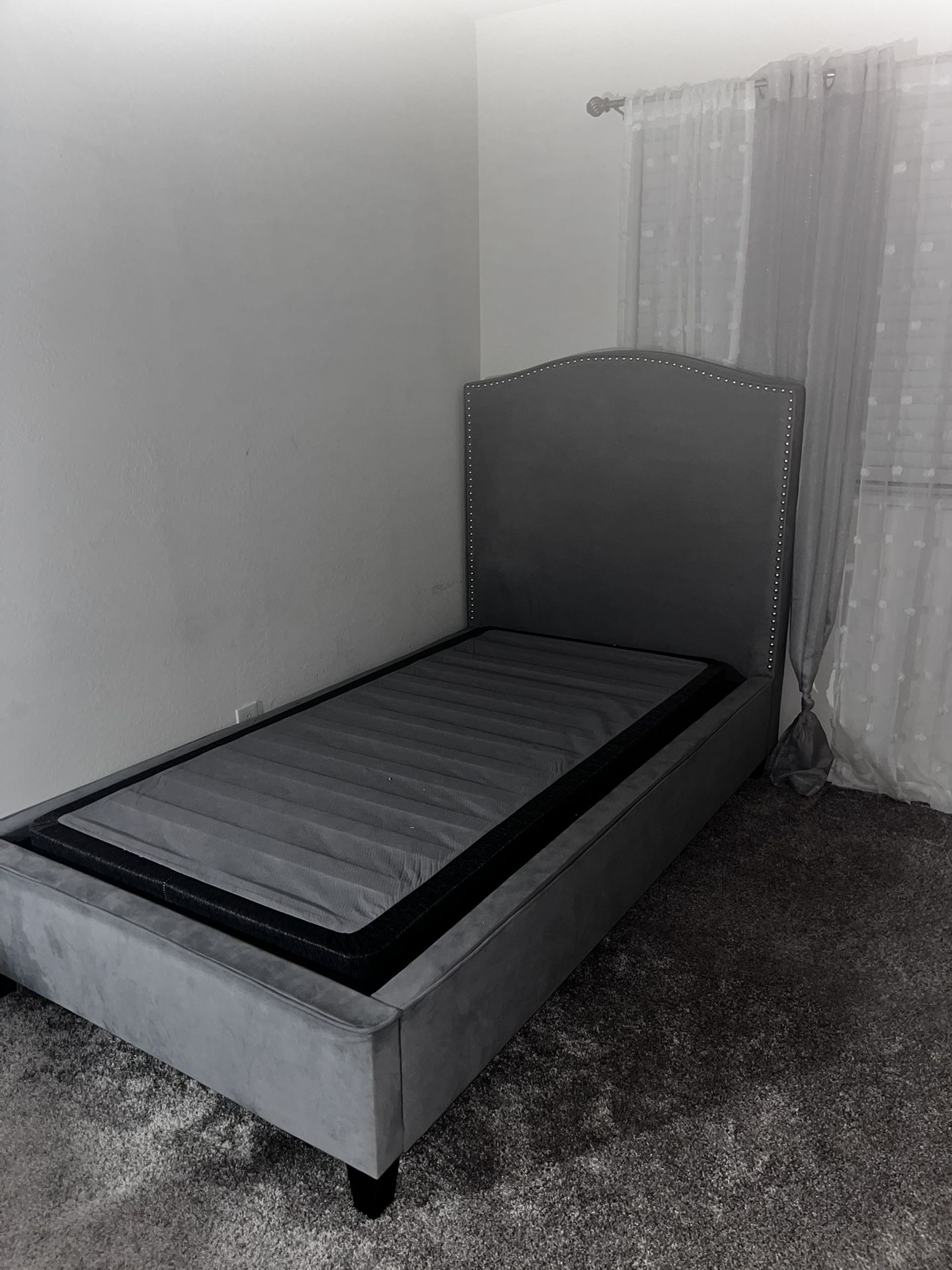Bed Frame & Box Spring