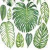 Planthoarders