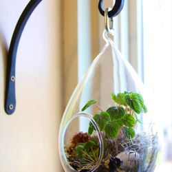 2 Good Quality Hanging Terrariums