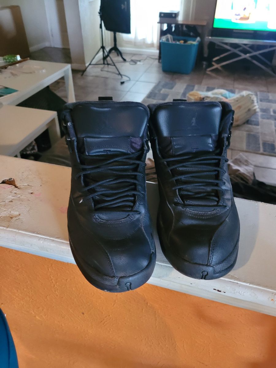 Winter Black Jordan 12s