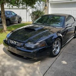 2001 Ford Mustang