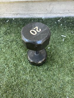 Single 20lb Dumbbell