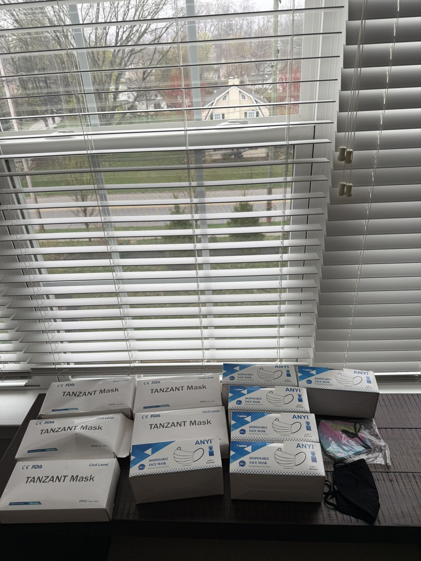 Disposable mask and cloth mask lot 