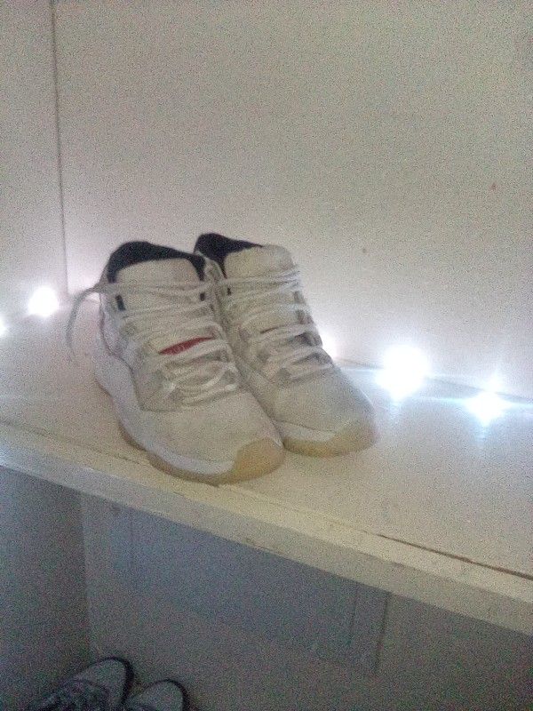 Jordan 11's (PLATINUM TINT)