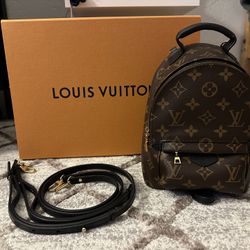 LV mini Palm Springs Backpack 