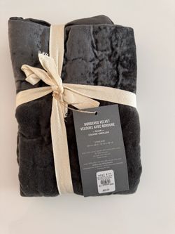 West Elm Velvet Standard Sham