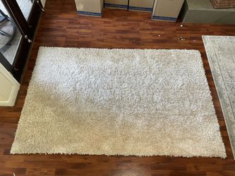 Pottery Barn Carpet Rug