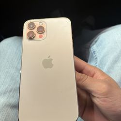 iPhone 12promax 