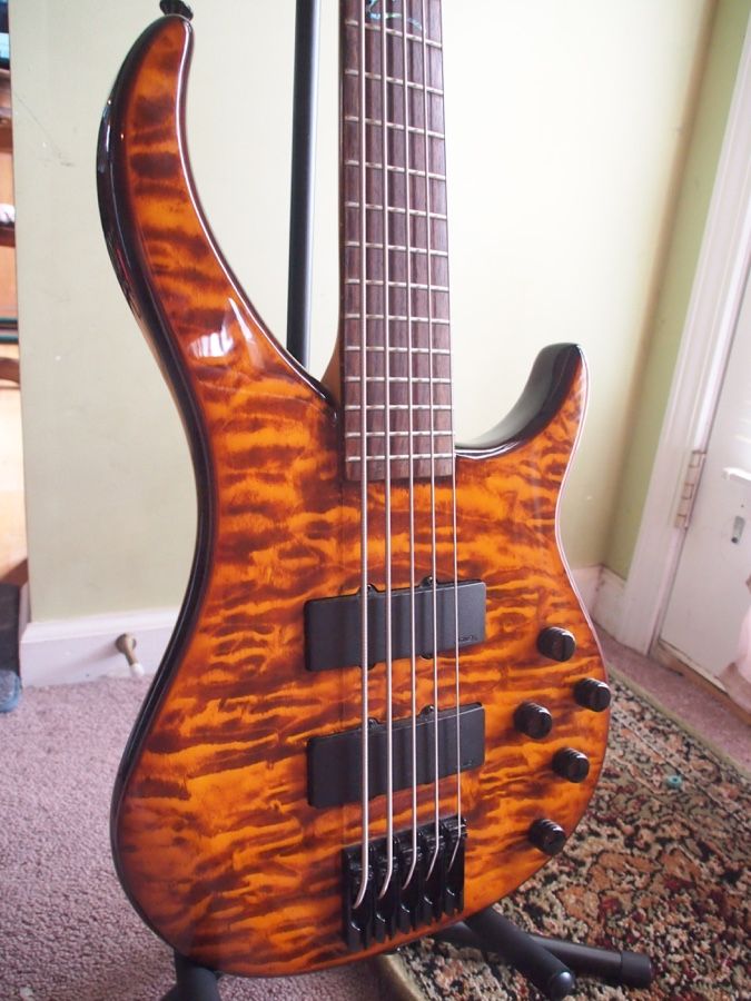 Peavey Cirrus BXP 5 String Bass Guitar - Tigereye Finish
