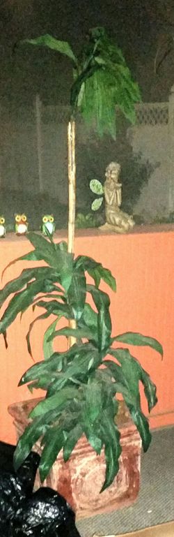Large artificial tropical tree in a very heavy decorative concrete base