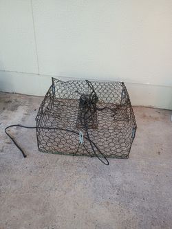 Crab Trap