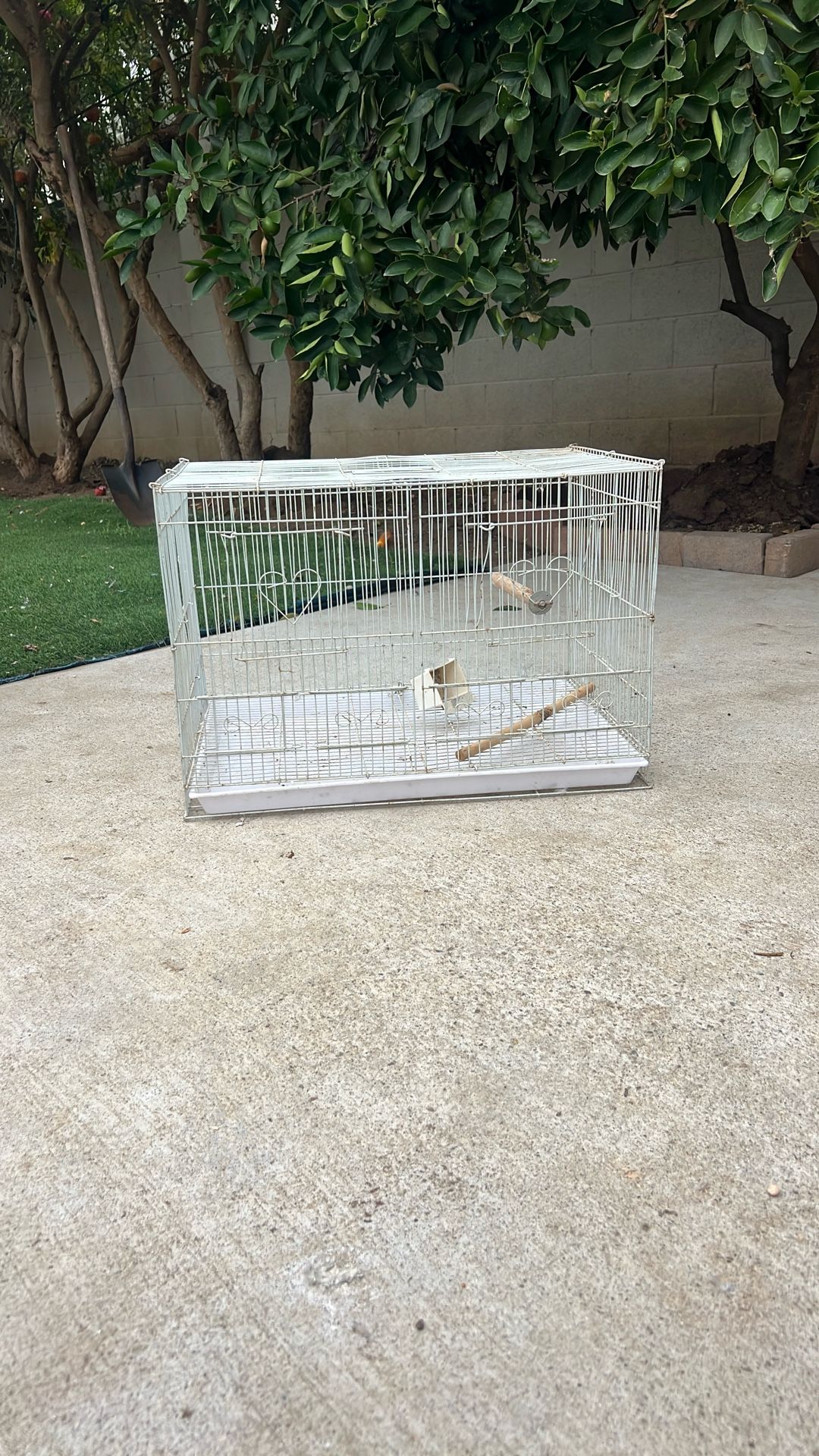 Bird Cage
