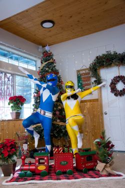 Blue Power Ranger Costume
