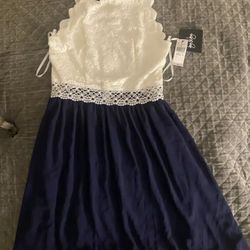 Beautiful Navy Blue And White High neck  Lace Dress