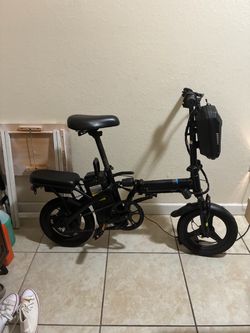 2 seater ebike