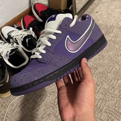Nike Low Dunk Purple Size 11 Men’s 