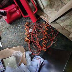 Dog Leads
