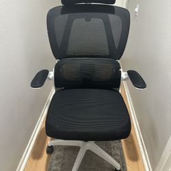 Ergonomic Office Chair