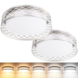 2 pieces Dimmable LED Ceiling Lights 