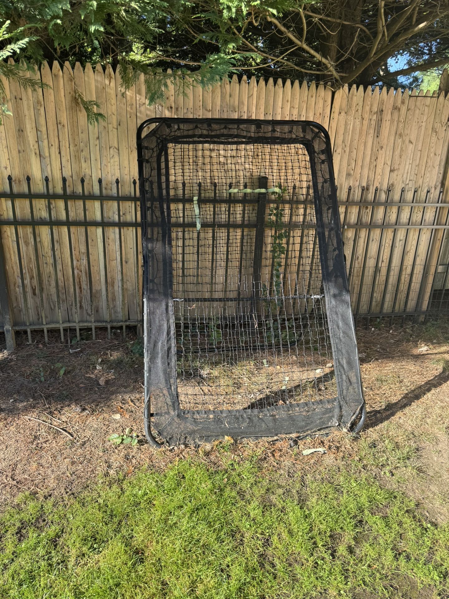 Lacrosse Rebounder