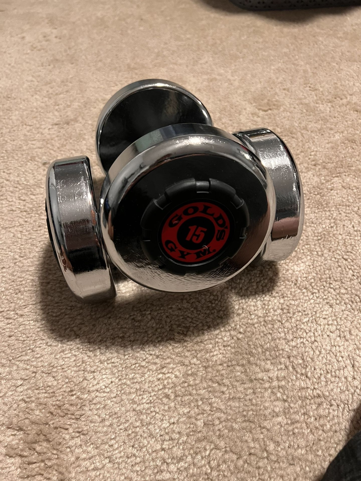 Gold Gym Dumbbell Weights