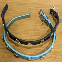 Two Dog Collars For Small Dogs