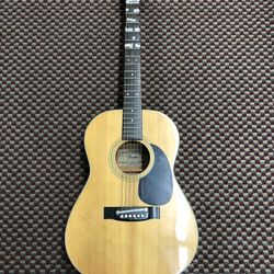 Fender F-15 Acoustic Guitar 🎸 