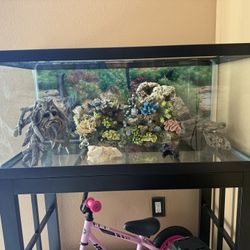 Fish Tank 40 Gallon