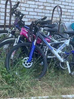 5 bikes