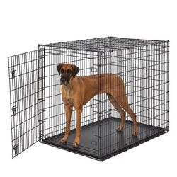 Extra Large Kennel Dog 