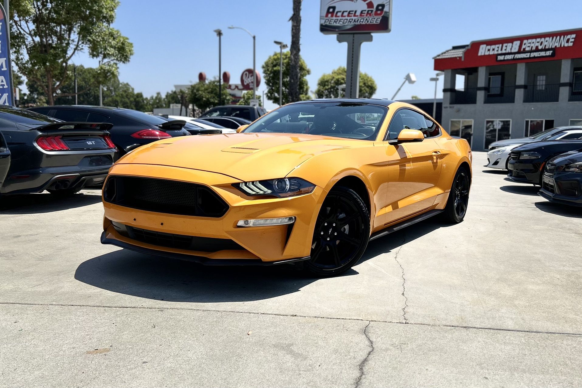 2019 Ford Mustang
