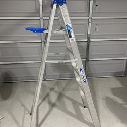 Werner 6ft Ladder