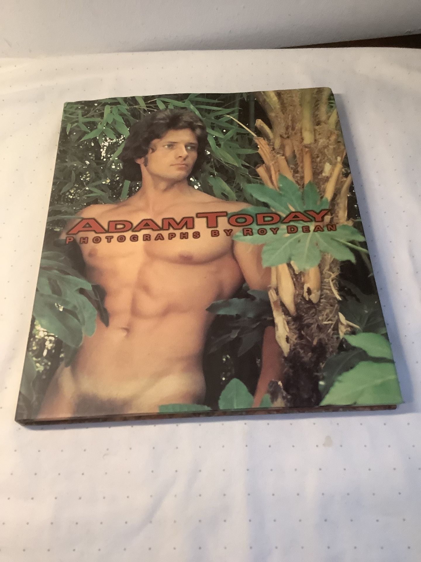 Adam Today by Roy Dean 2000 Gay Male Interest Hardcover Nude Photography Book